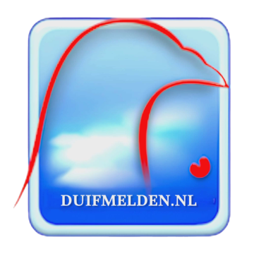 Duifmelden-logo